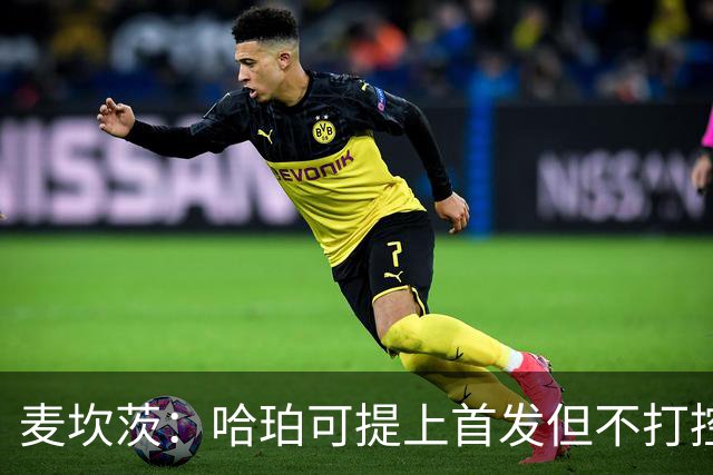 麦坎茨：哈珀可提上首发但不打控卫 建议马刺留福克斯打五小